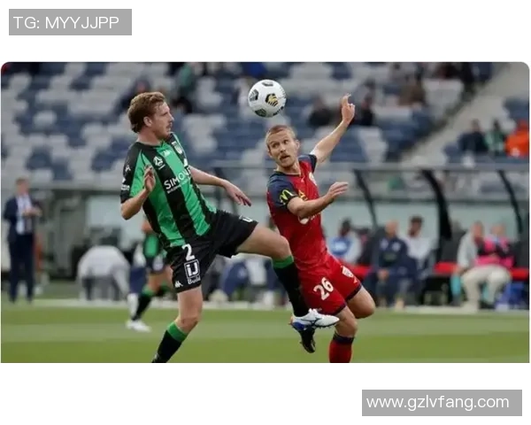 西悉尼与阿德莱德对决谁将赢得胜利分析与预测